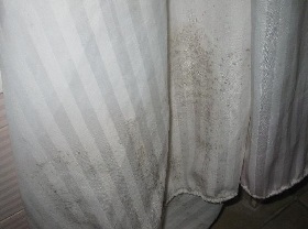 mould on fabric 1